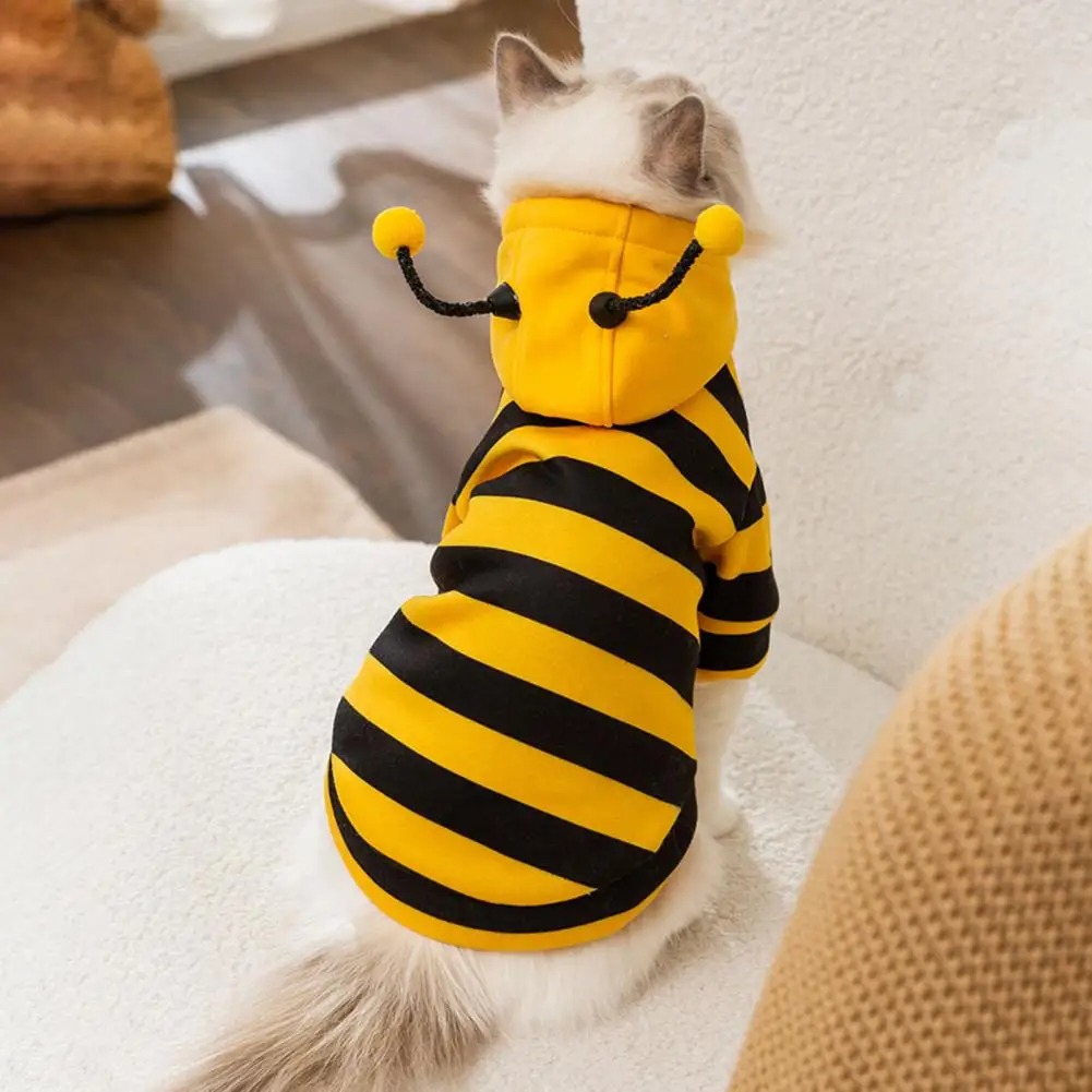 Winter Clothing For Dogs - Evcil Kediler Giysileri Yavru Kedi Eşyaları