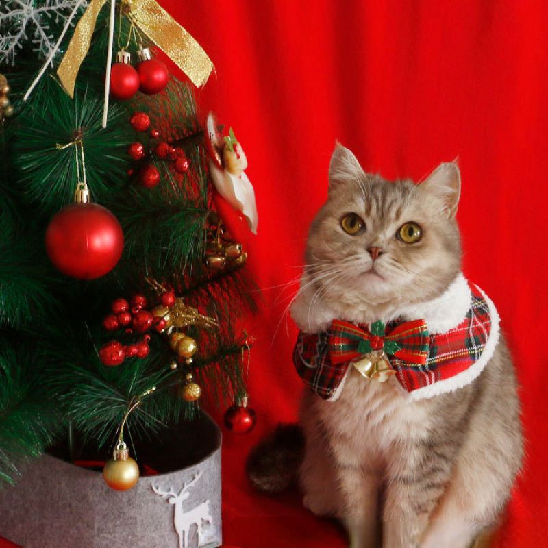 Winter Clothing For Dogs - Kedi Noel Pelerin Pet Yeni Yıl