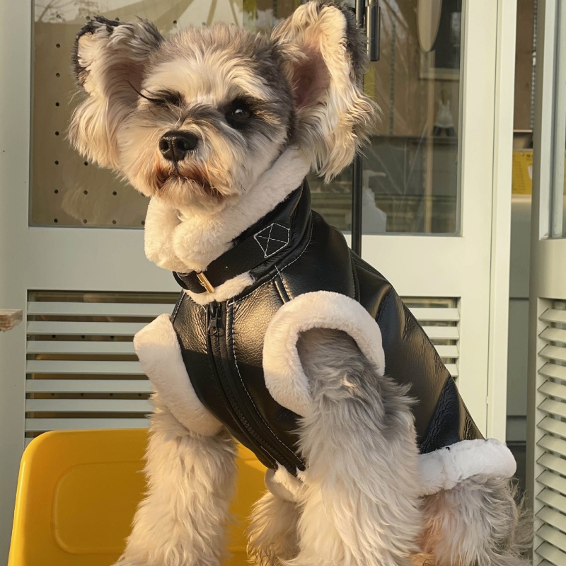 Winter Clothing For Dogs - Pet Sonbahar Kış Kadife Kolsuz Yelek