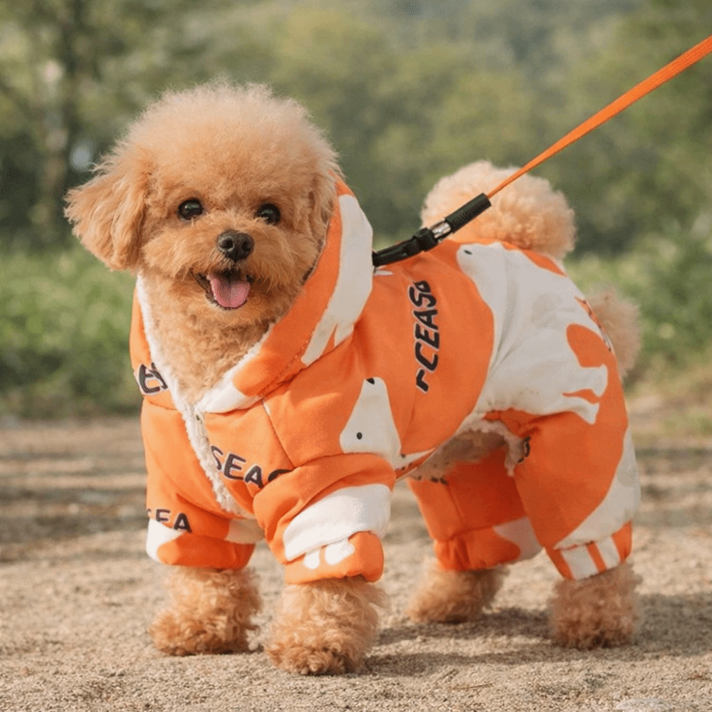 Winter Clothing For Dogs - Sevimli Sıcak Köpek Kışlık Kıyafetleri Tüy