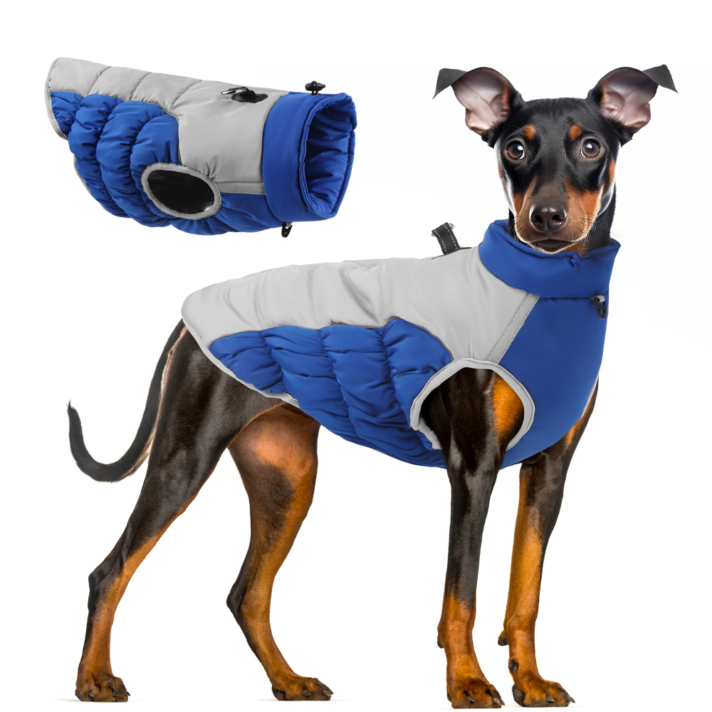 Köpekler için kış giysileri rü - Winter Clothing For Dogs incelemesi ve fiyatı