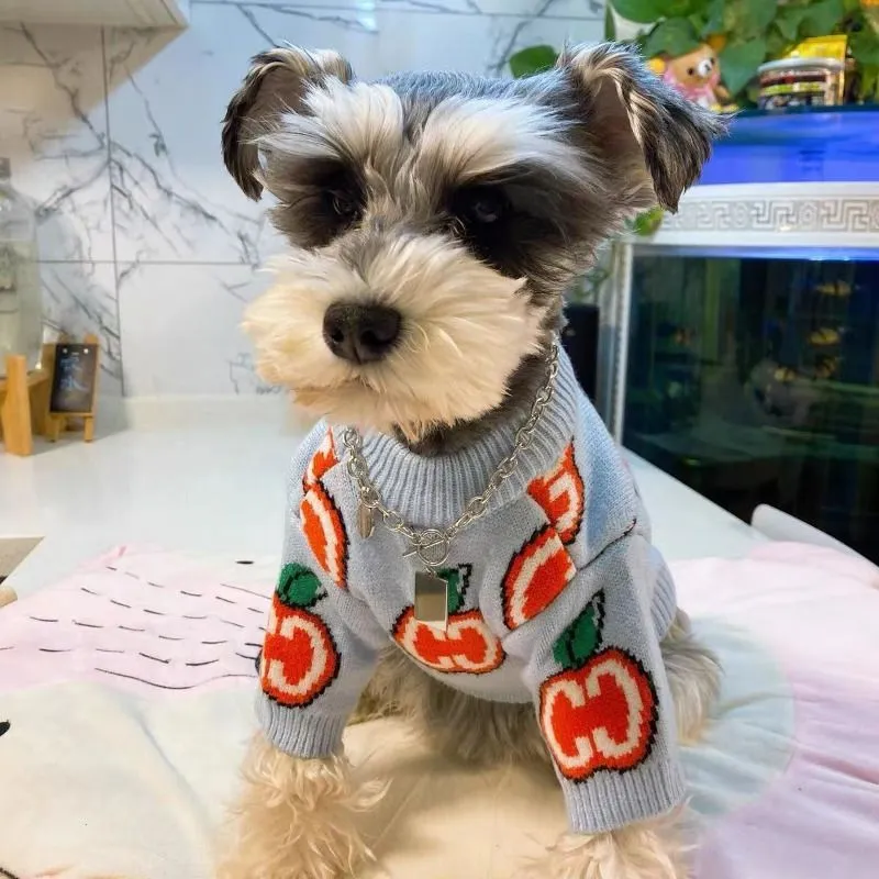 Harfli Kazak Evcil Köpek Kıyaf - Winter Clothing For Dogs incelemesi ve fiyatı