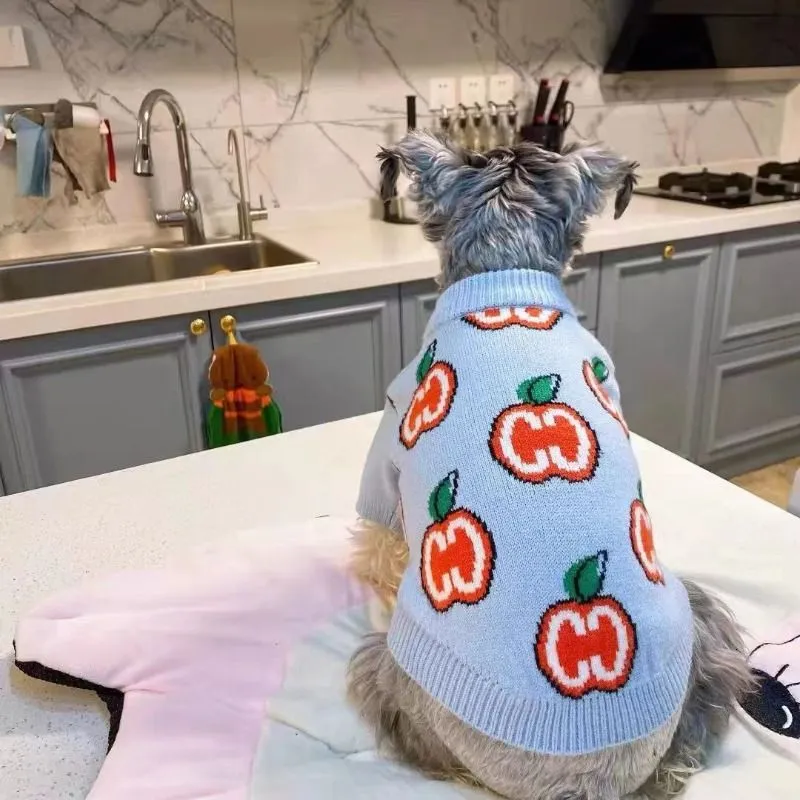 Harfli Kazak Evcil Köpek Kıyaf - Winter Clothing For Dogs incelemesi ve fiyatı
