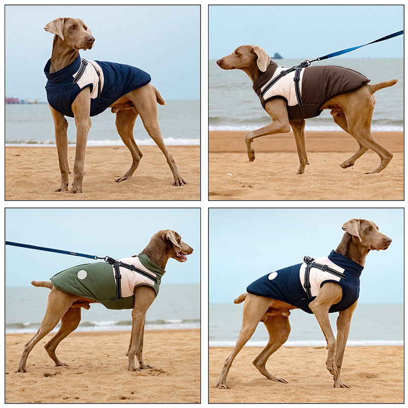 Sıcak Köpek Yeleği, Dahili Tas - Winter Clothing For Dogs incelemesi ve fiyatı