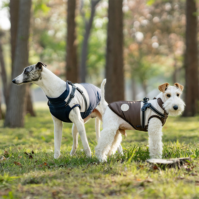 Sıcak Köpek Yeleği, Dahili Tas - Winter Clothing For Dogs incelemesi ve fiyatı