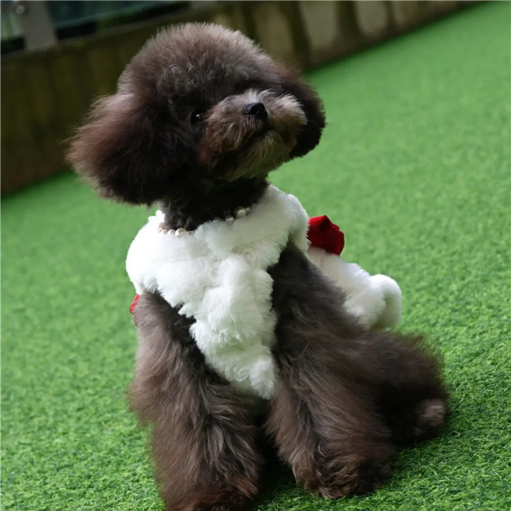 Evcil Hayvan Tavşan Kürkü Elbi - Winter Clothing For Dogs incelemesi ve fiyatı