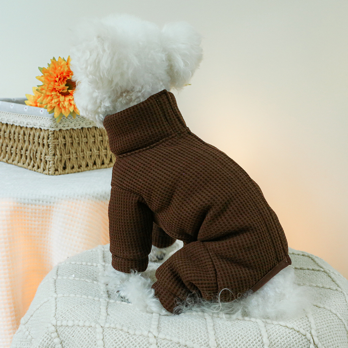 Köpekler için kış kostümleri s - Winter Clothing For Dogs incelemesi ve fiyatı