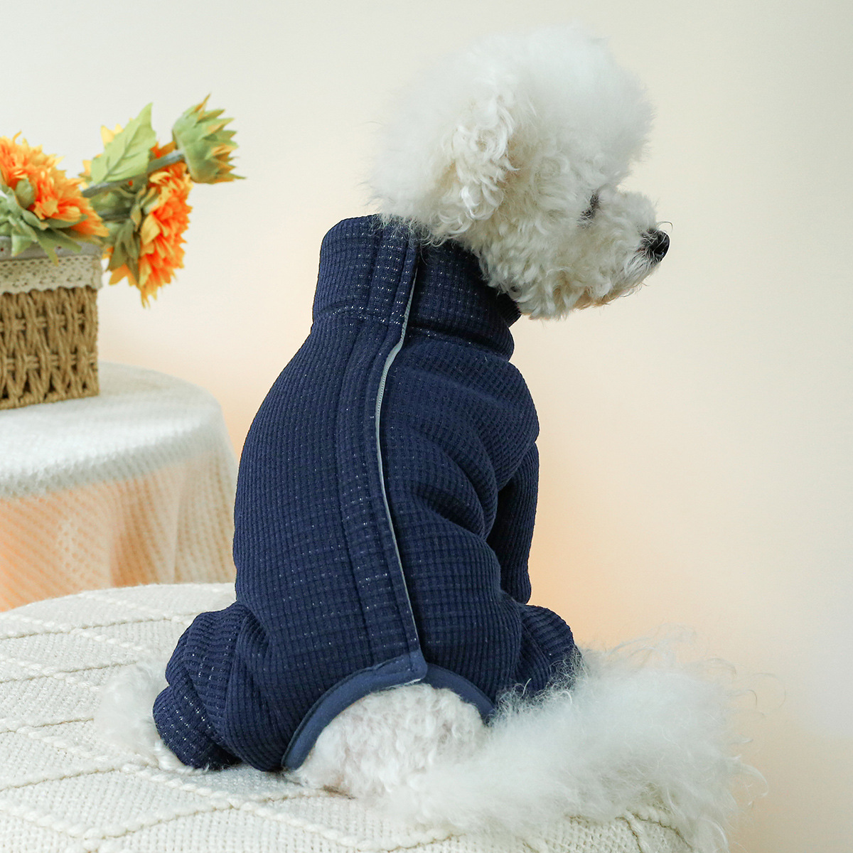 Köpekler için kış kostümleri s - Winter Clothing For Dogs incelemesi ve fiyatı