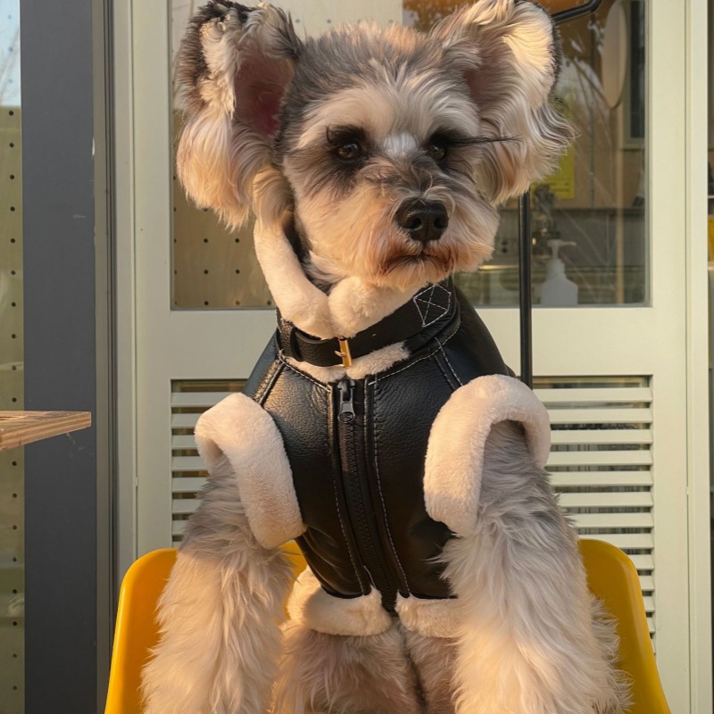 Pet Sonbahar Kış Kadife Kolsuz - Winter Clothing For Dogs incelemesi ve fiyatı