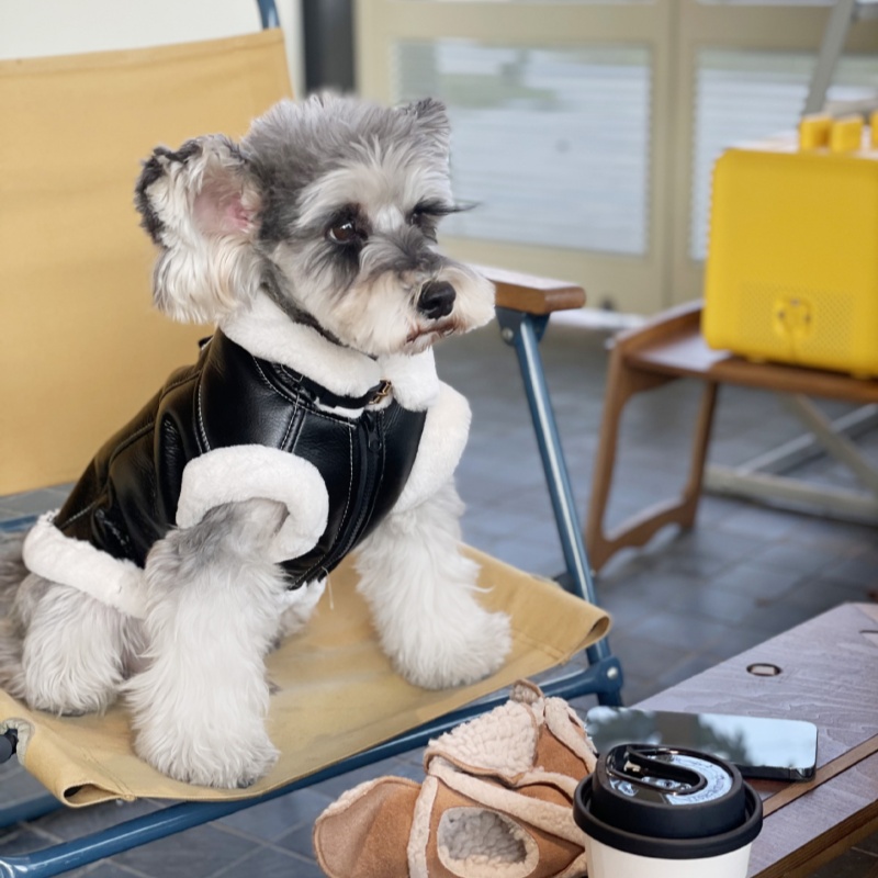 Pet Sonbahar Kış Kadife Kolsuz - Winter Clothing For Dogs incelemesi ve fiyatı