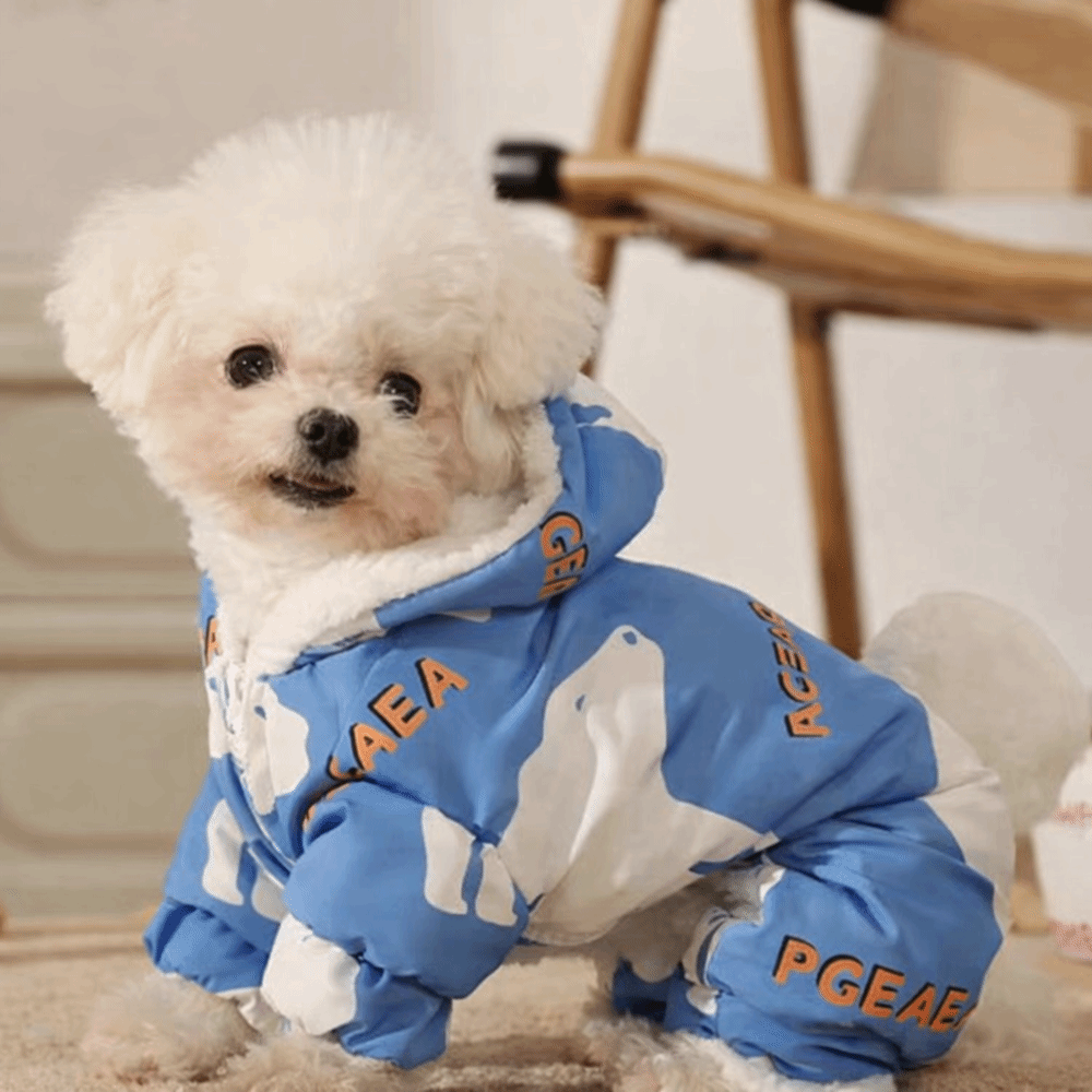 Sevimli Sıcak Köpek Kışlık Kıy - Winter Clothing For Dogs incelemesi ve fiyatı