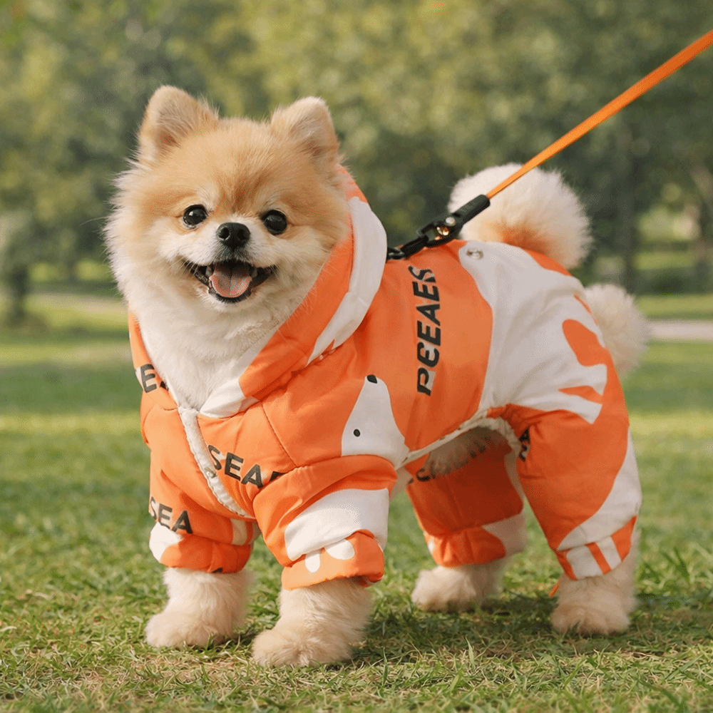 Sevimli Sıcak Köpek Kışlık Kıy - Winter Clothing For Dogs incelemesi ve fiyatı